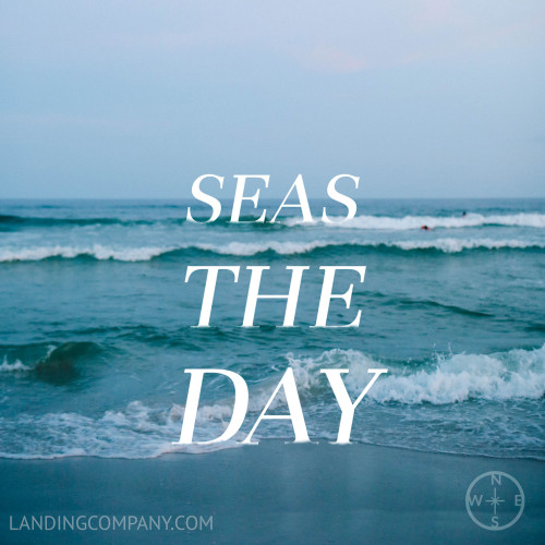 Seas The Day Landing Company